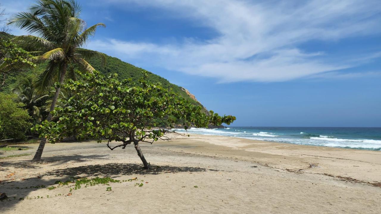 Ecolodge Playa Brava Teyumakke Calabazo  外观 照片