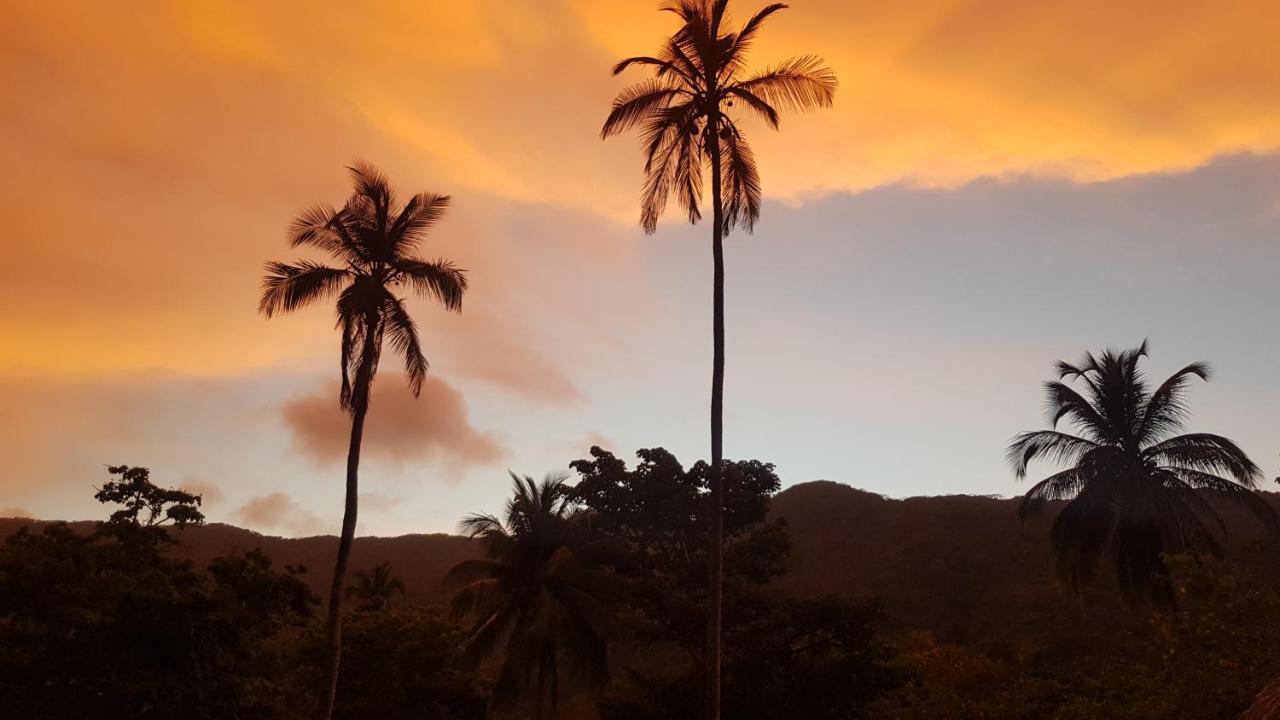 Ecolodge Playa Brava Teyumakke Calabazo  外观 照片